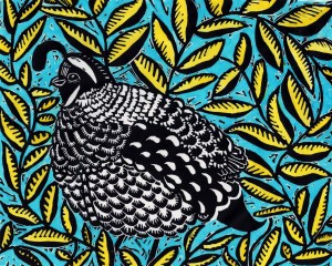 California Quail, painted linocut print, © Julia Forsyth
